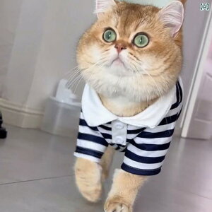 ybg   L̏Ḧߕɂ́Aт̂hXgCvTVcAẑʂݔLAueBbVV[gwAAVAu[AQwybgLbĝ߂̏t̕