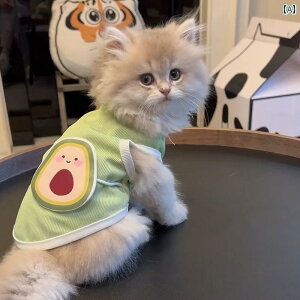 qL⏬^̉ėp̒ʋCėw̃xXgAEіh~̕Lp̈ߕẑʂݗp̈ߕpZю⃍VAu[p̔L̈ߕB