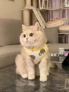    L  ėp  xXg  h~ ybg q  p XO