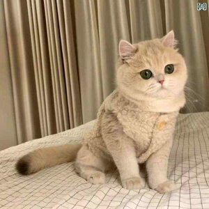    L  S[h Of[V H ~ g xXg ybg ʂ q  