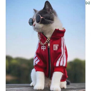 Lp̂킢Ԃ~Au[̕zApZю팢p̏ȕBĂԐVN̑B