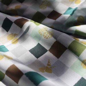 z n VɂȂɂ ֐DAG߂̂߂́A|~̃IWĩ|GXeȐnB̗nɂ҂ŁAdŒJɖDt܂B