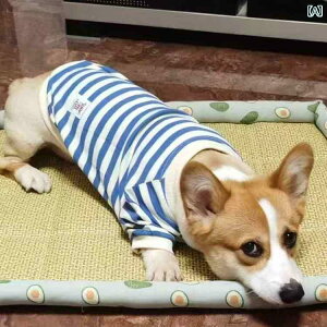 񂿂 ybg 킢 V ybg   tH ~ ^ ^  R[M[ Z[^[ {g K Vv g Ci[