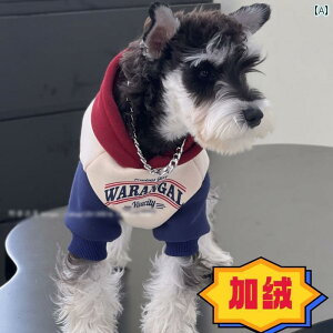 񂿂 ybg 킢 ybg L A rVt[[A efBA ViEU[p t@bV uh XEFbgVcA H ~ A g t[h xxbg t