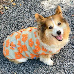 񂿂 ybg 킢 R[M[  2024 H ~ V xxbg g xXg   rV ybg  h~ L