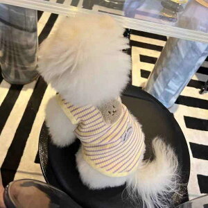 񂿂 ybg  H ~  xXg N}  [NV[eA rV }`[Y efB |jA ^  ۉ