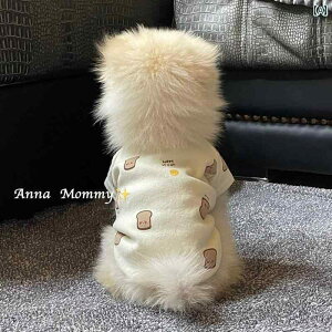 񂿂 ybg 킢 x[X C[ H    L ybg efB rV |jA ViEU[ ^ z[