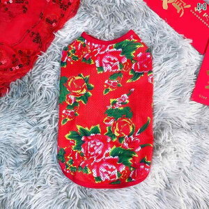 񂿂 ybg 킢   ėp bVxXg k傫  efB rV |jA ^  ^  L