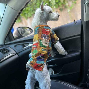 񂿂 ybg 킢 t H ~  A[g OtBeB XEFbgVc efBLbg ViEU[ t`uhbO ^  ybg  rV