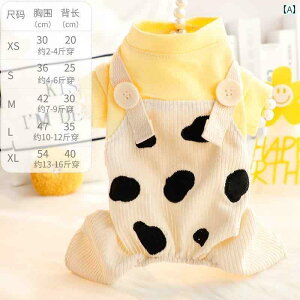 񂿂 ybg 킢   tH  l   I[o[ I[ X[c  tFCN c[s[X ^  efB ybg 5632