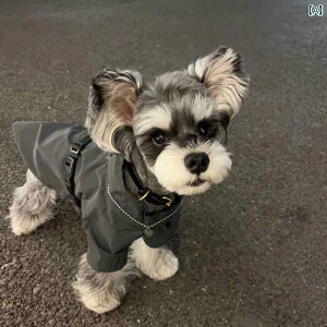 񂿂 ybg 킢 efBxAA rVt[[A ViEU[A t`uhbOA Lp H ~ g ybg t@bV uh WPbg