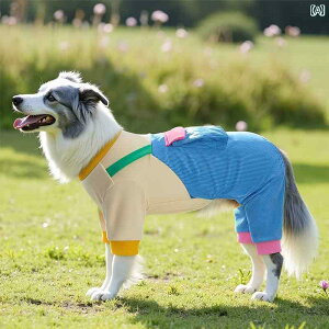 񂿂 ybg 킢 ^   t H X^C S[fgo[  ^ ^  uh[ {[_[R[  h~ 4{  ybg t