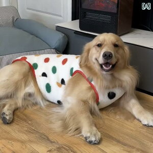 ybg  t ybg  ^E ^  S[fgo[ {[_[R[ TGh nXL[ uh[ H ~p g xXg