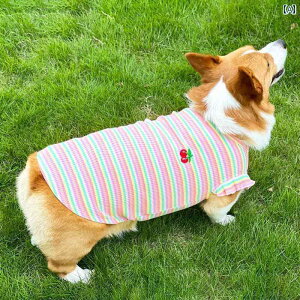 ybg  t R[M[     ^  q  rV efB    C xXg ybg pi