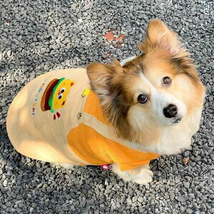 ybg  t  ybg    pi R[M[ efB rV    H ~ vX xxbg g V xXg