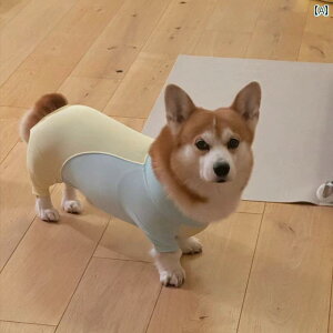 ybg  t p l   e  h~ AEghA  h~  h~  I ی  R[M[  