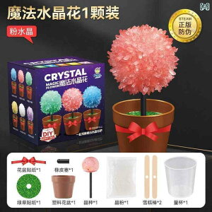   zr[   zr[ q y At Ȋw   DIY NX^t[  3 - 6 @ NX}X c[  ߋ