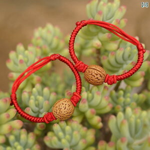 @@zr[ Ԃ c q ̎    gp @  l Ԃ R a N   uXbg ANbg 