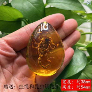 @@zr[ ߂  W{ lbNX  y_g { wZ   w Jj b  qp Ȋw  i