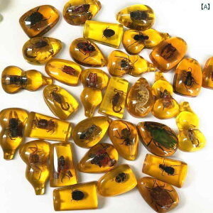 @@zr[ ߂  W{ y_g uCh {bNX  ڒ  q   Ȋw   i w