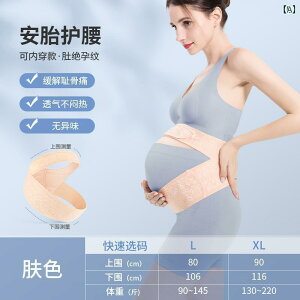 @T|[g@xg@fB[X@}^jeB Dwp   DP   Ȃ Ci[EFA pi