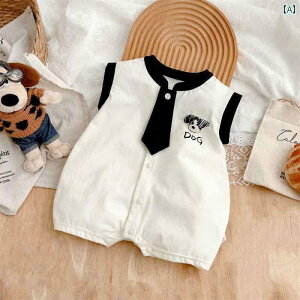 Ԃ@pW}@xr[ xr[  m[X[u xXg p[X   V  02 Ԃ