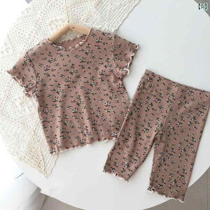 Ԃ@pW}@xr[ xr[   菬 ԕ  pW}   X[c 03  ĕ