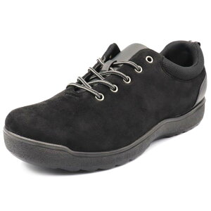 [XeBbN] JWAXj[J[q L y h 1903 Y