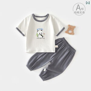 xr[@@Ԃ xr[    X[c  TVc h pc Xvbg c[s[X 6 ` 12 ĕ