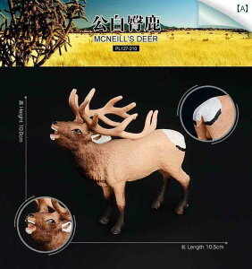 @zr[@ q ͋[  Ae[v  wWJ jz WJ giJC p }zK v[ AtJ   i