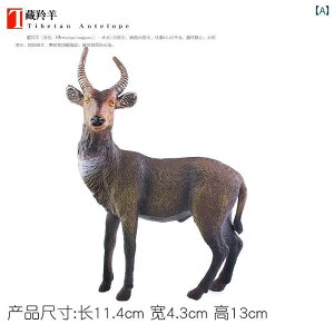 @zr[@ ͋[ 쐶  giJC  jz WJ NJ[ AJ VJ q Ȋw  Fm `xbg Ae[v