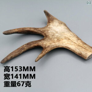 @zr[@  U[  p X^[ z[ 莝 V p [ z[fR[V ANZT[ DIY giJC