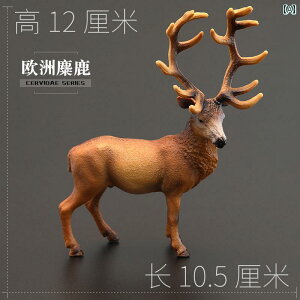 @zr[@ ő V~[V   쐶  NX}X wWJ giJC K[ Fm Mtg i