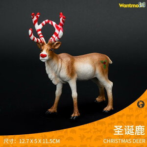 @@킢 NX}X v[g q  V~[V 쐶  giJC wWJ IWWJ qp Fm uR