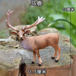 @@킢 AJ VJ jz WJ giJC  V~[V  쐶 vX`bN i q  }CN V[