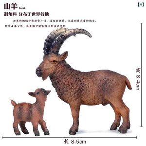 @@킢 V~[V 쐶  JVJ  M r giJC A K Zbg q Ȋw  Fm Mtg