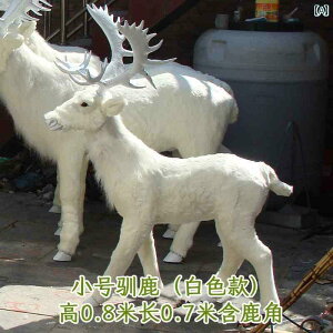 @@킢 V~[V giJC jz WJ i  W{ fXNgbvEBhE   NX}X wWJ 