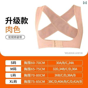 @w@T|[^[ a w  xg Lw  p   Ȃ