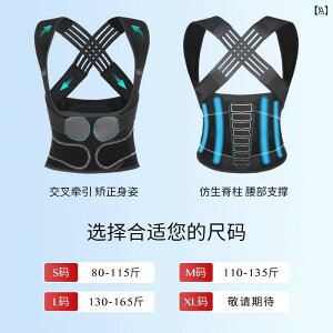 @w@T|[^[ Lw  xg  l p ėp Ȃ w  Xg[g EGXg A[eBt@Ng