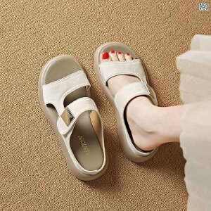 Dwp ėp  T_ 傫TCY 41 ` 43  Xbv  ނ h~ ~ C