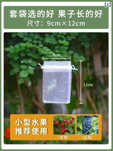 ܁@bV@lbg  bV lbg ʕ  l h  bVobO h p obO r uhE  C`S ی v At