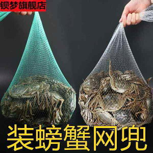 ܁@bV@lbg Jj lbg obO uX^[    Kj  O[ Ɍ t[c bVobO