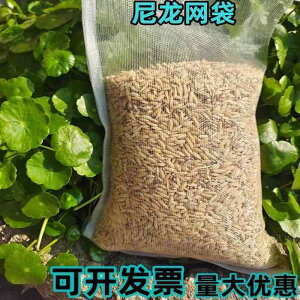 ܁@bV@lbg    lbg obO iC q ʕ h b    