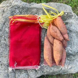 ܁@bV@lbg Tc}C lbg obO rj[  t[c W   В ҂