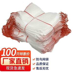 ܁@bV@lbg  D iCbV obO  Z  ؂ ʕ h  bVobO