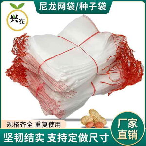 ܁@bV@lbg iCbV obO iC V[h tB^[ \[LO D obO 