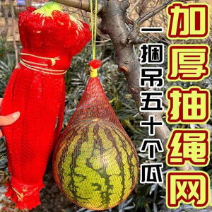 ܁@bV@lbg XCJ ݂邷  bVobO t[c lbg obO [v t ݂艺 |[^u  R vX`bN 