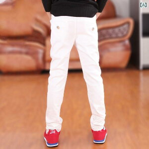 St@EFA@q qp St pc tH~ j̎qp X|[c {[ q j̎q N g Y{ 傫TCY