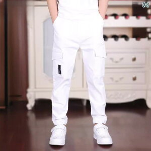 St@EFA@q St pc j̎q Y{ t EGXg S X|[c qp JWA 傫TCY