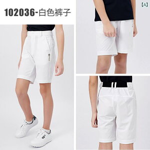 St@EFA@X|[c qp StEFA ėp {[CY V[c X|[c Lk xg pc q